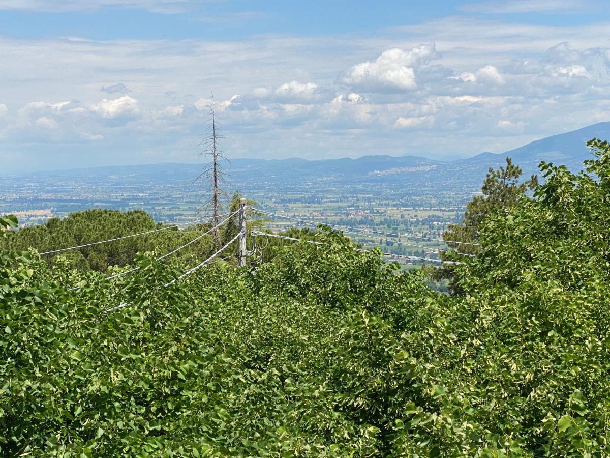 App. Con Terrazza Panoramica In Centro-Montefalco Zewnętrze zdjęcie