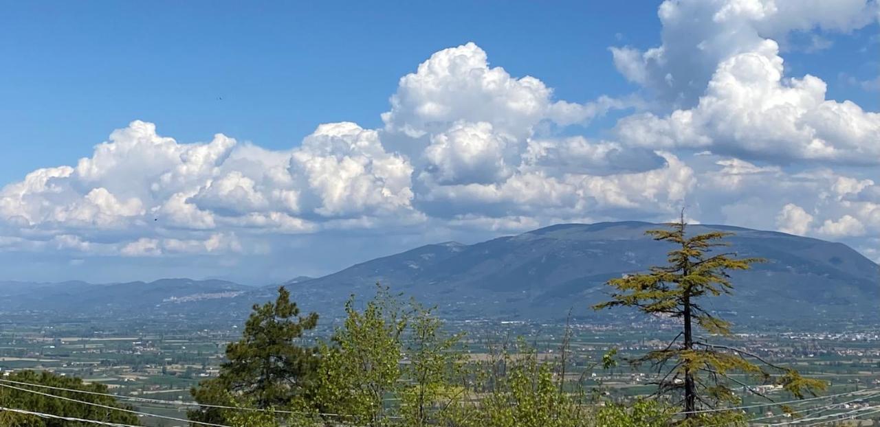 App. Con Terrazza Panoramica In Centro-Montefalco Zewnętrze zdjęcie